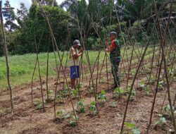 Serda Pariyanto Personil Koramil 414-01 Tanjung Pandan Giat Dalam Rangka 3P