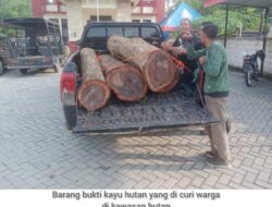 Nekat Curi Kayu Hutan,Dua Orang Pelaku Diamankan Polres Grobogan