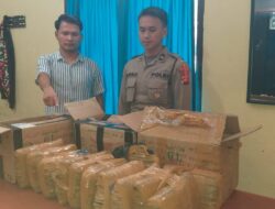 Ganja Kering 12 Kg Gagal kirim, Buah Kerja Sama Polres Taput Dengan Pihak Bandara Silangit