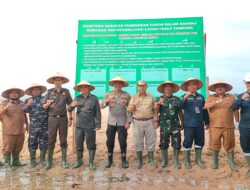 Polres Bangka Barat Tanam 4.000 Mangrove Tahap 3 Dalam Rangka HUT Bhayangkara ke 77