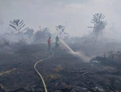 Belasan Hutan dan Lahan Terbakar di Kabupaten Nagan Raya