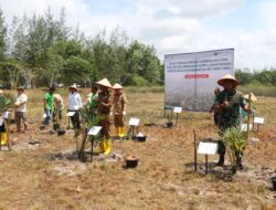 Danrem 045/Gaya Ikut Serta Menanam Sagu Bersama Kepala Staf Kepresidenan RI di Kabupaten Bangka