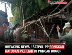 BREAKING NEWS ! Satpol PP Bongkar Ratusan PKL Liyar Di Puncak Bogor