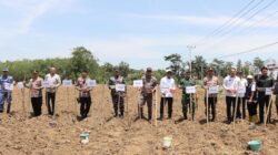 Dukung Swasembada Pangan, Polres Lampung Utara Gelar Penanaman Jagung Serentak Kuartal IV