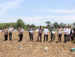 Dukung Swasembada Pangan, Polres Lampung Utara Gelar Penanaman Jagung Serentak Kuartal IV