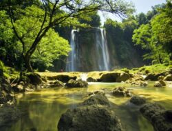 Paket Lengkap Liburan Ke Curug Cikaso Sukabumi, Pemandangan Eksotis Air Curug Tiga Warna