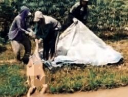 Mayat Pria Tanpa Busana Mengapung di Irigasi Purwosari, Warga Bedeng 28 Metro Utara Geger