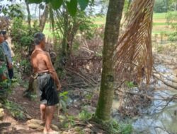 Ratusan Pohon Rengas Ditebang, Petani Pujo Basuki Terdampak Banjir: Dugaan Ada Oknum Membekingi