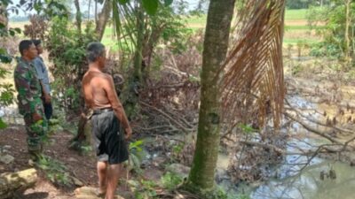Ratusan Pohon Rengas Ditebang, Petani Pujo Basuki Terdampak Banjir: Dugaan Ada Oknum Membekingi