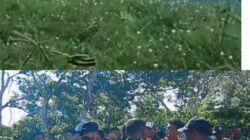 Operasi Pencarian Warga Ogan Lima yang Hilang di Bendungan Way Rarem Terkendala Gulma Tebal