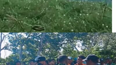 Operasi Pencarian Warga Ogan Lima yang Hilang di Bendungan Way Rarem Terkendala Gulma Tebal