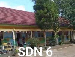 Viral Dugaan Keributan di SD Negeri 6 Trimurjo, Publik Diminta Menahan Diri dan Tidak Menghakimi