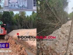 Penimbunan Hutan Bakau di Belakang Ruko Grand Royal Woodland Diduga Tanpa Izin, Banjir Mengancam, Warga Desak BP Batam Bertindak